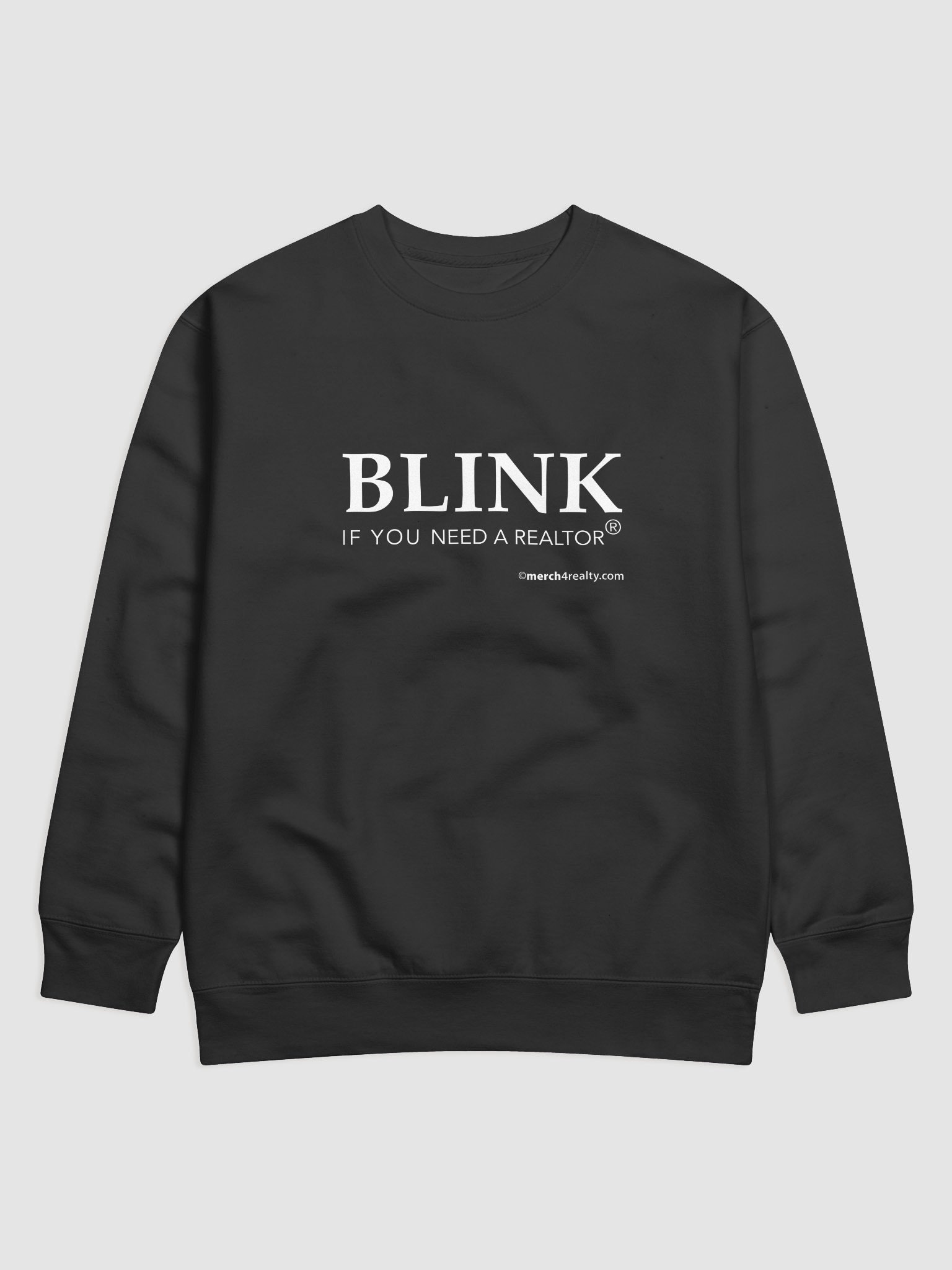 BLINK Logo Premium Sweatshirt product image (4)
