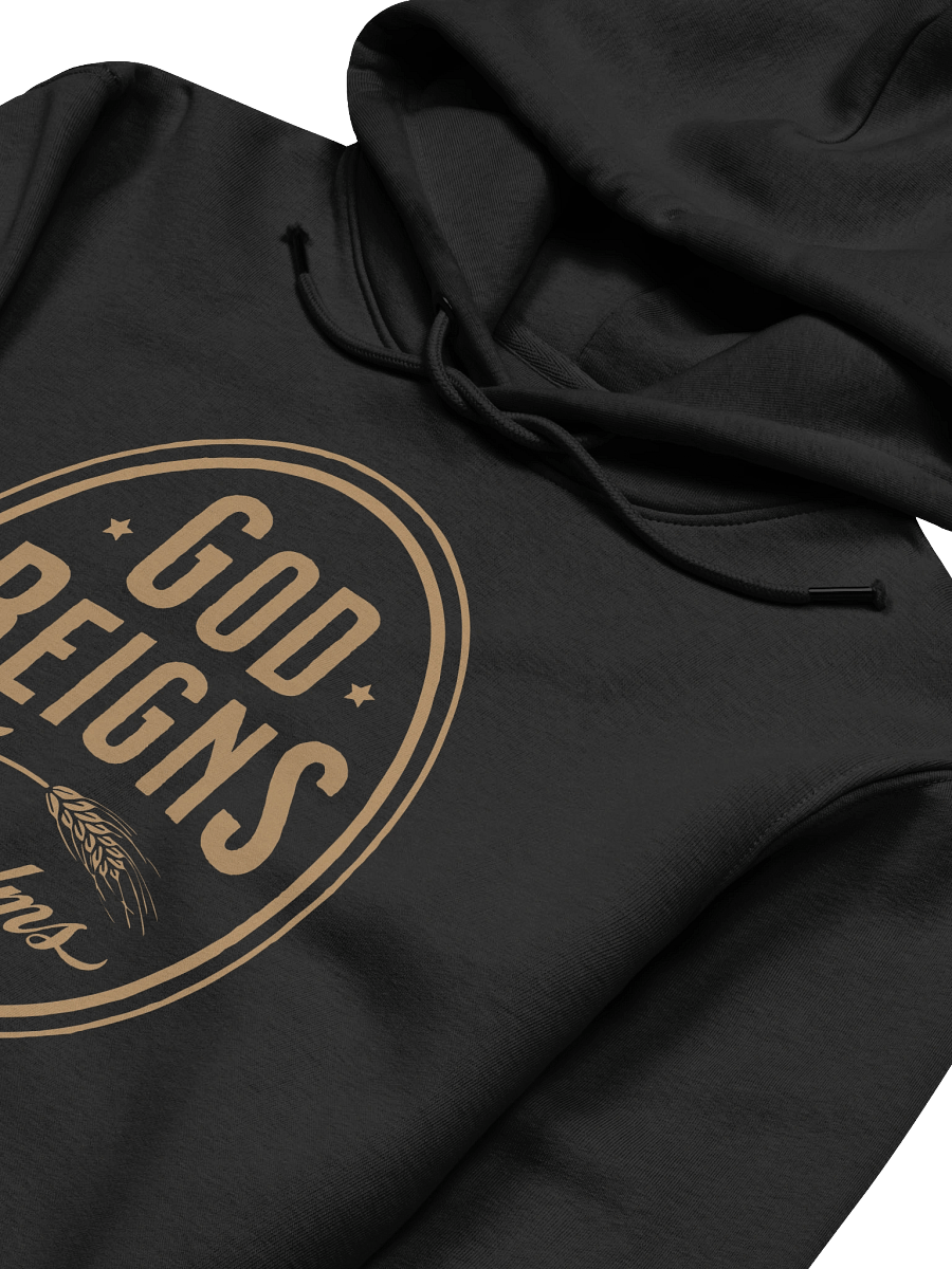 Divine Reign Eco Hoodie product image (3)