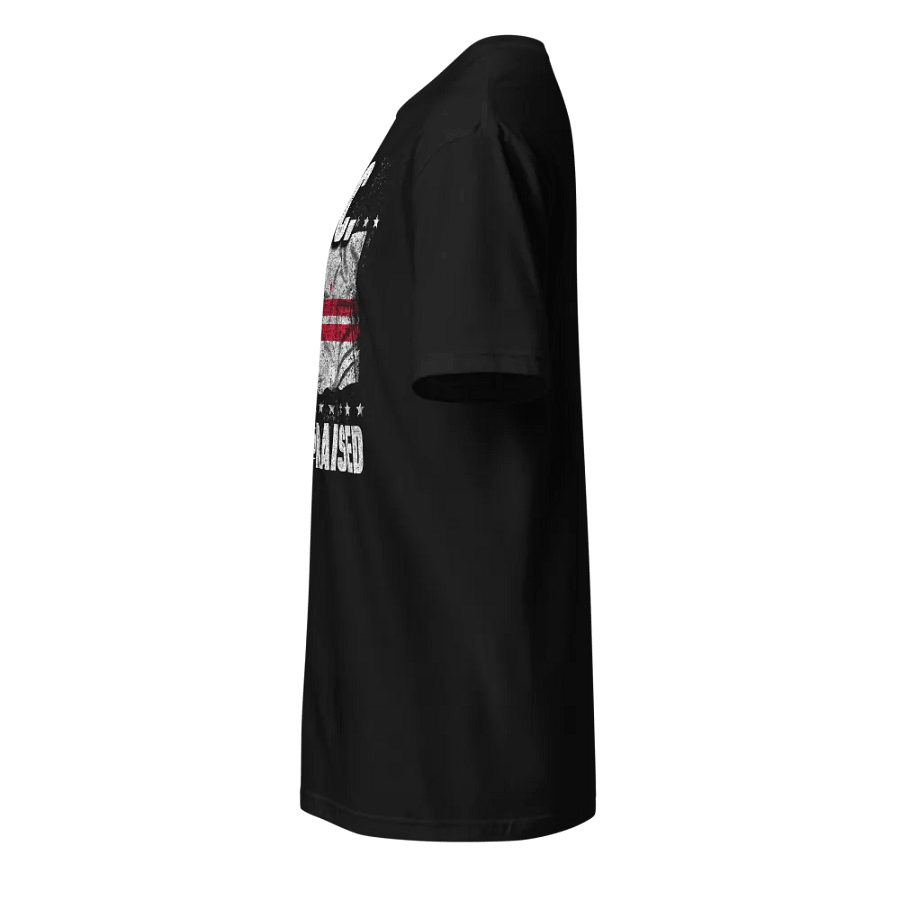 D.C.: Born and Raised product image (4)