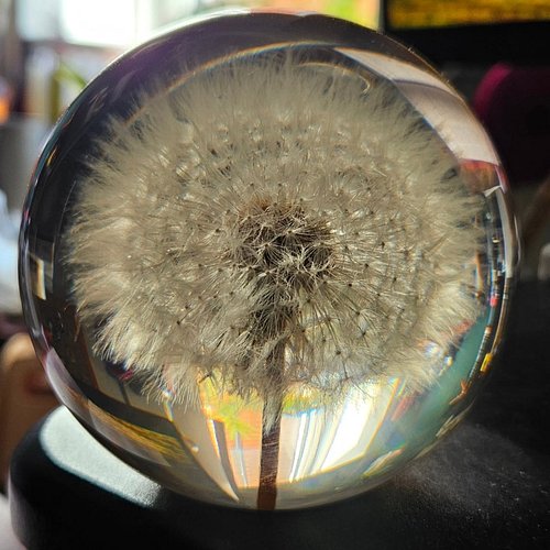 £30 well spent. Can't stop looking at it. How the hell do you cast this in resin?!