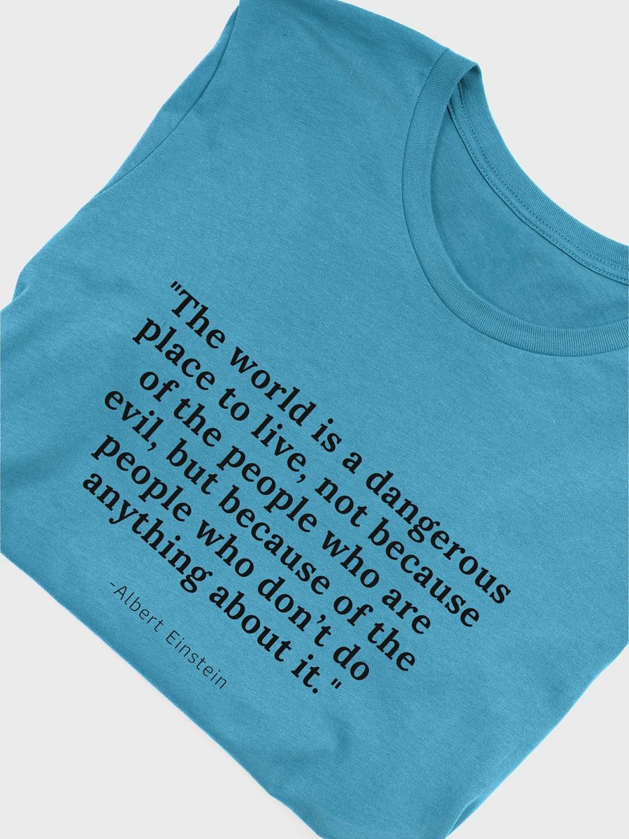 Albert Einstein quote product image (34)