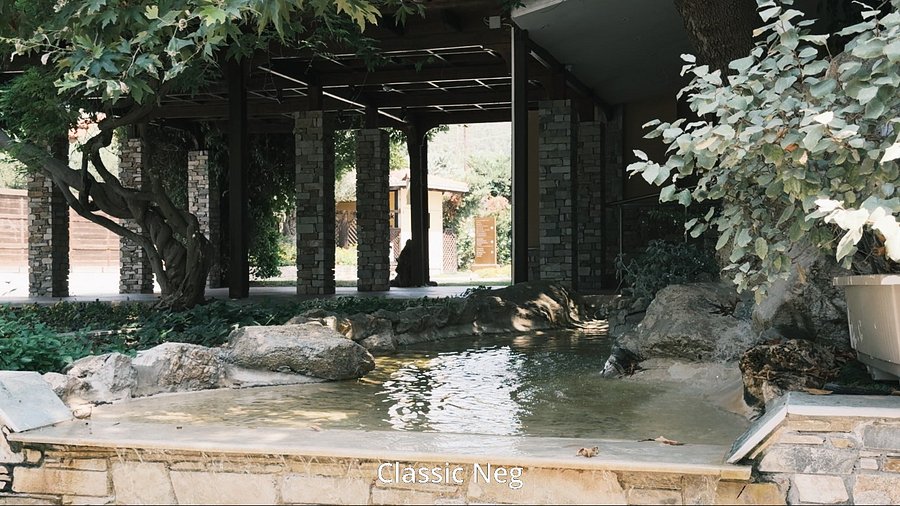 Fujify [Apple Log] 3D LUTs product image (4)