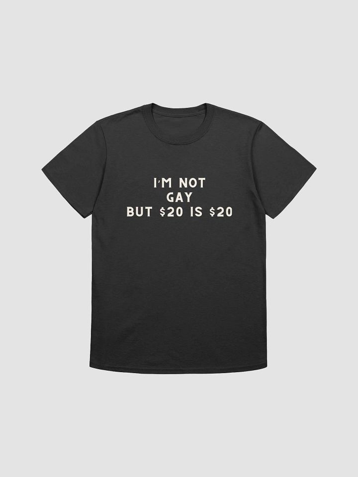 I'm Not Gay But $20 is $20 Unisex T-Shirt V3 product image (1)