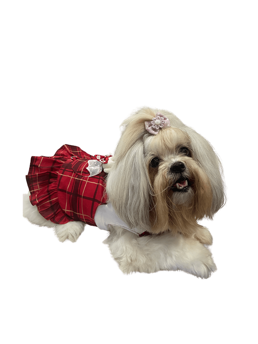 Vestido Pet Ursabela - Modelagem Pet PDF product image (6)