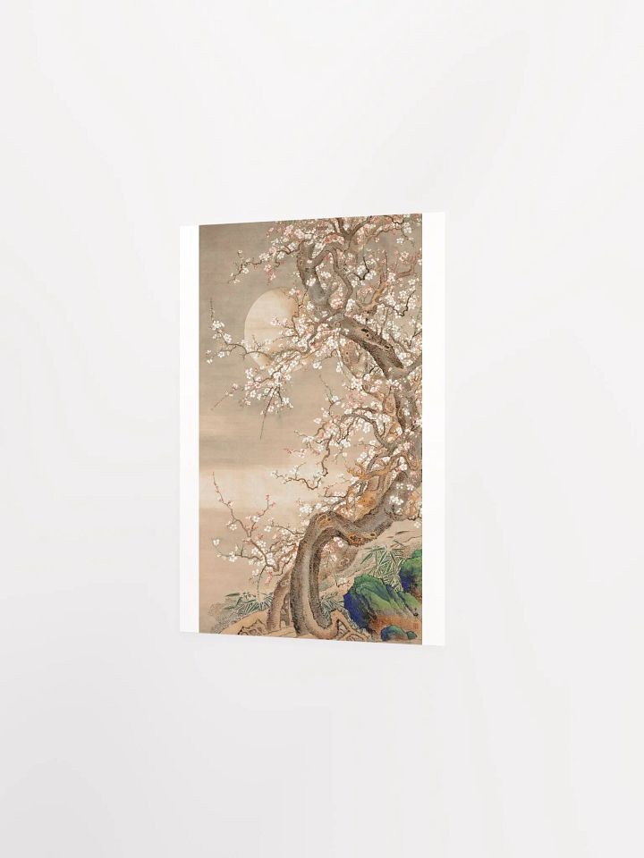 Japanese Plum Blossoms in Moonlight by Sō Shizan product image (2)
