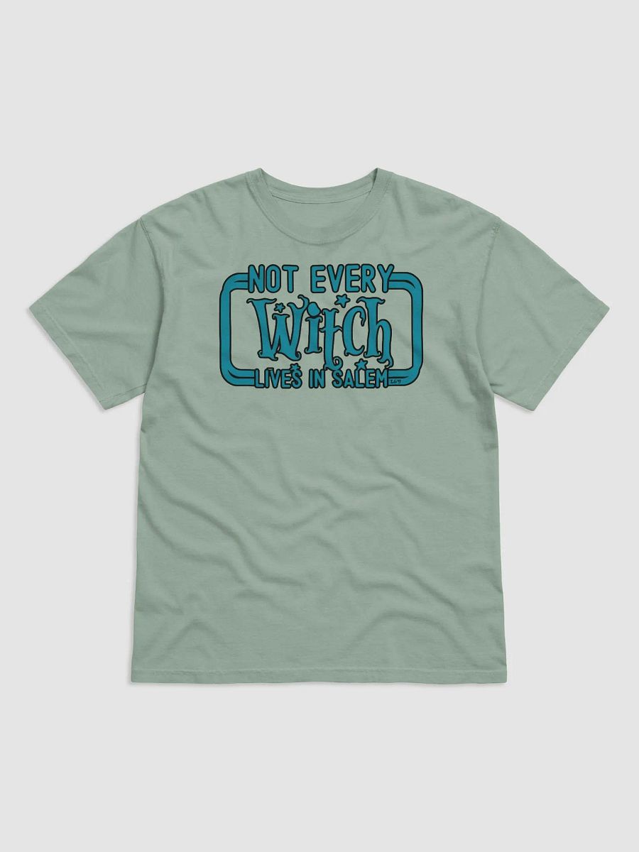 NOT EVERY WITCH LIVES IN SALEM product image (10)