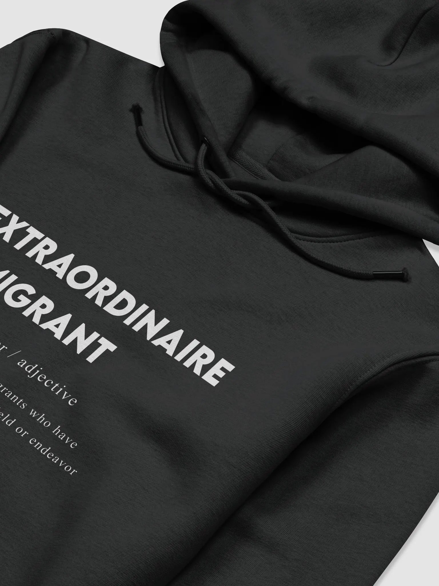 "Extraordinaire Immigrant Hoodie" product image (3)