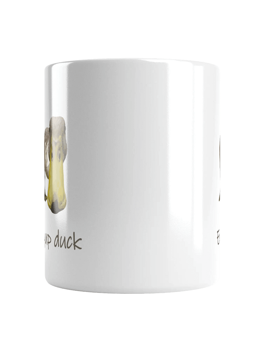 Eyup Duck - Mug product image (5)