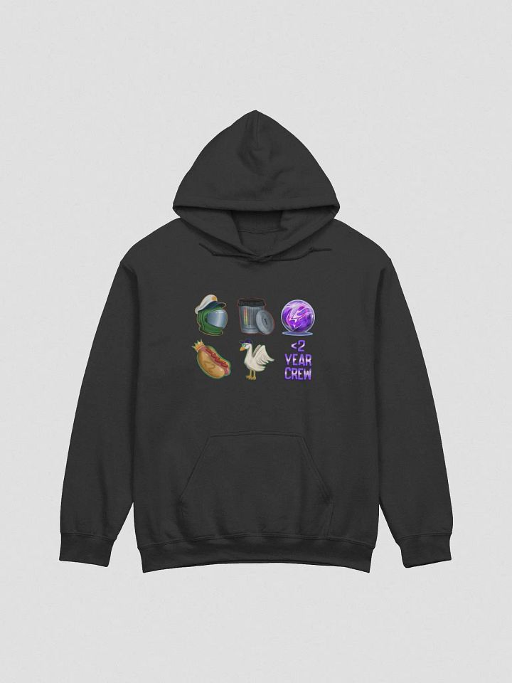 Less Than 2 Year Celebration Hoodie product image (1)
