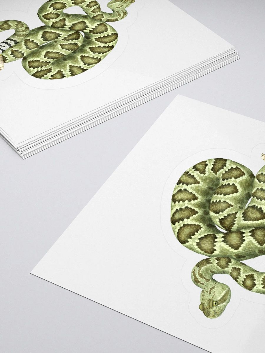 Die-Cut Sticker – Mojave Rattlesnake (Green) product image (4)