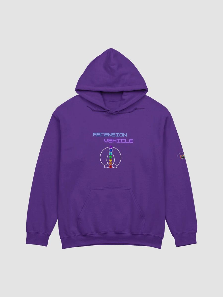 AV Classic Hoodie product image (28)