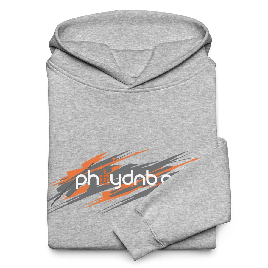 PhillyDnB Hoodie (Grey) product image (11)