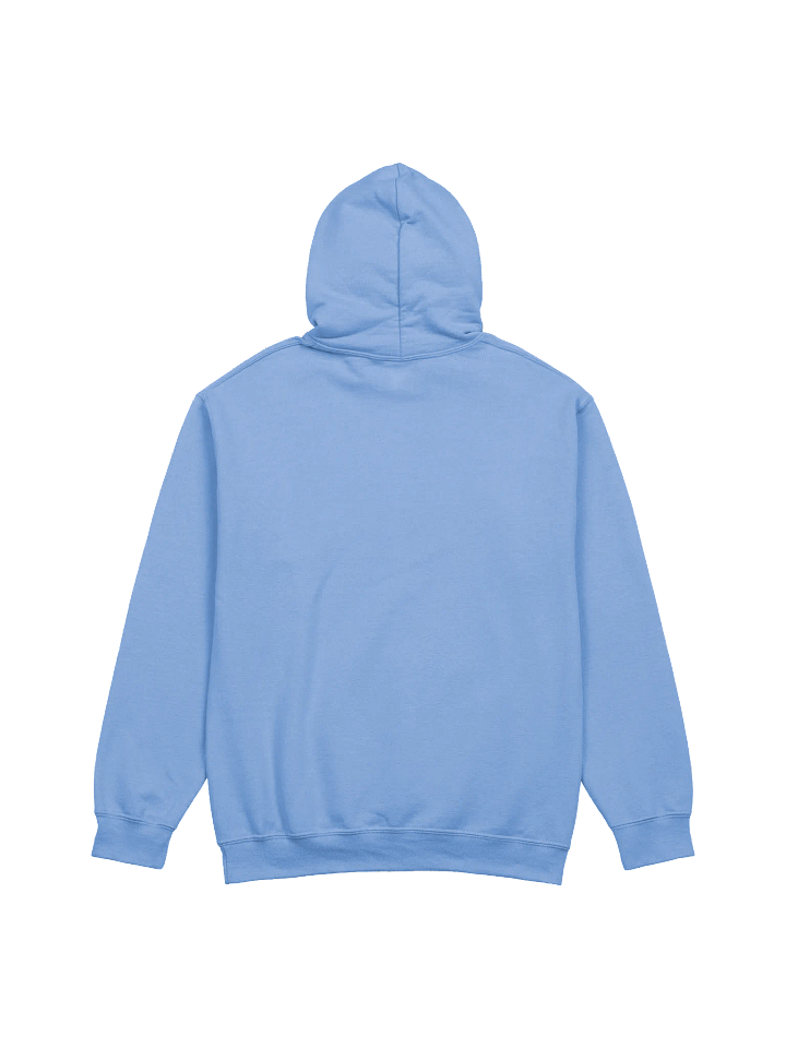 Spring-Lock Films Est. 2021 Hoodie product image (19)