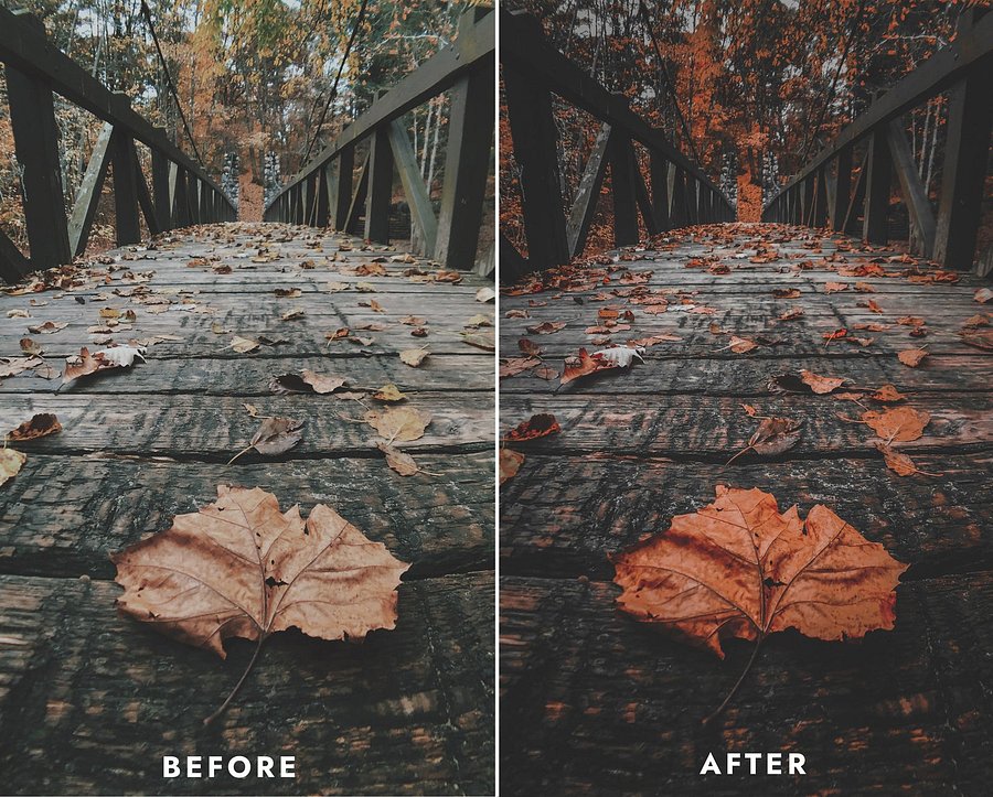 dark & orange product image (3)