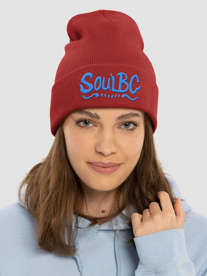 Soul Bite Beanie product image (1)