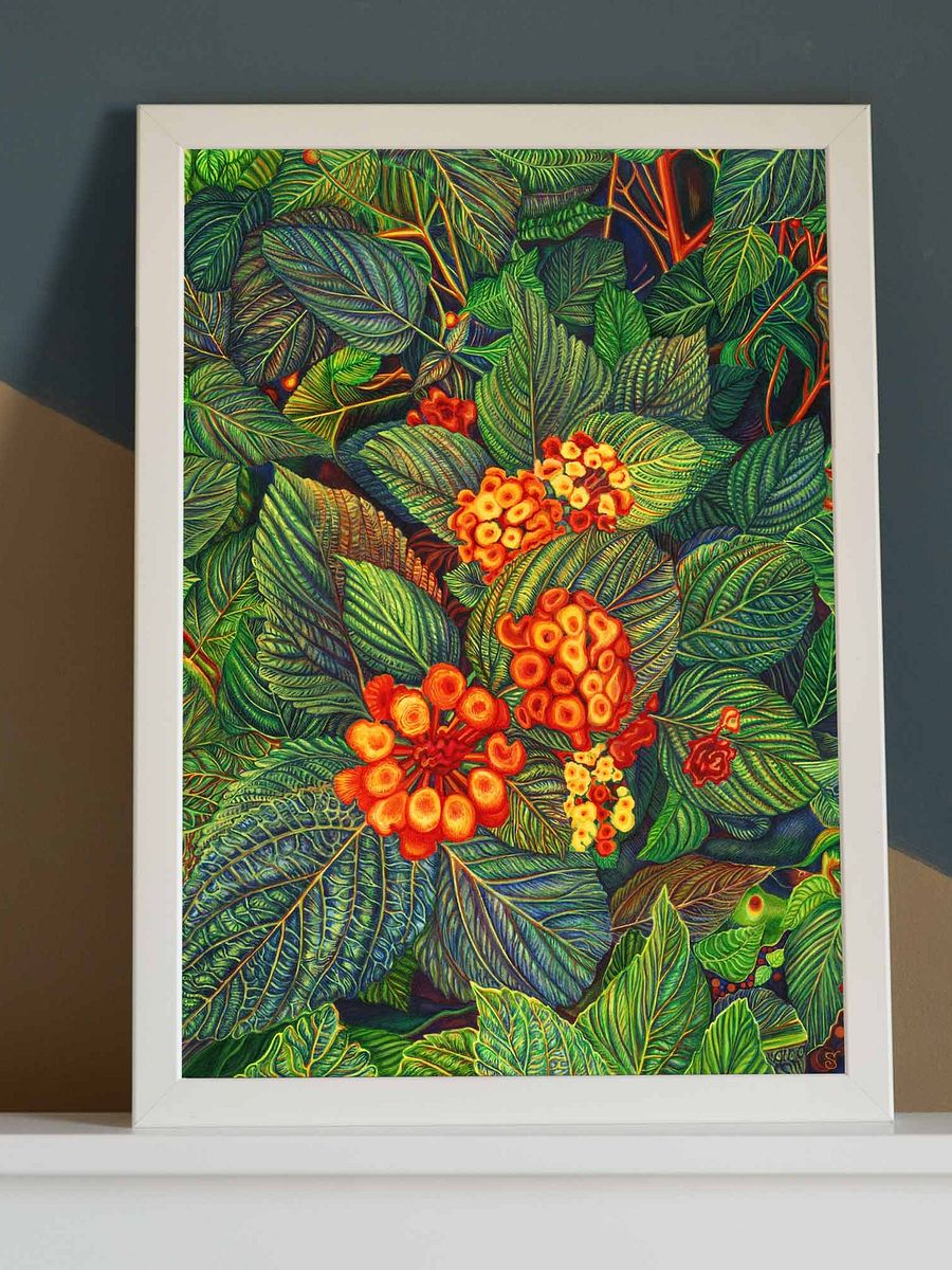 Vibrant Matte Poster Print - Bright Orange Flowers product image (5)