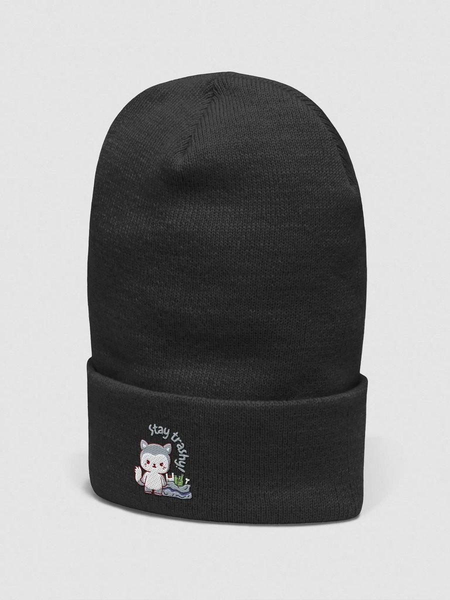 Stay Trashy Beanie product image (11)
