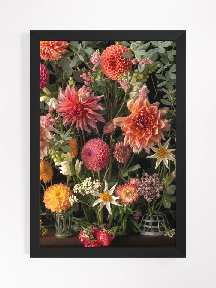 Dahlia Delight product image (1)