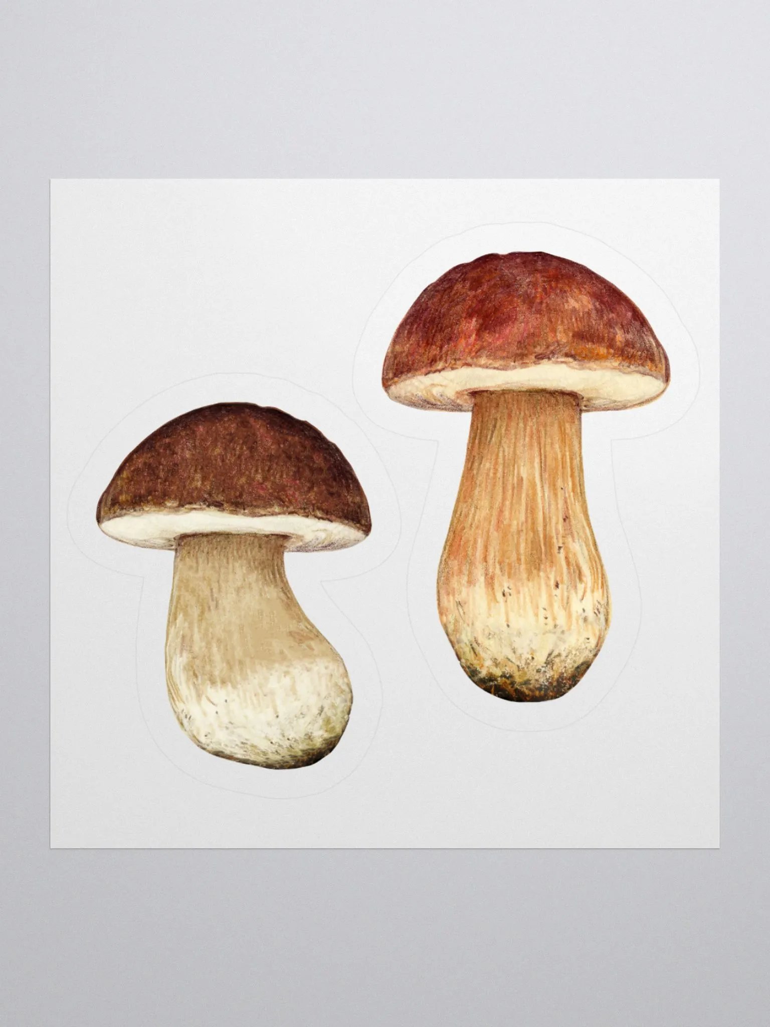 Boletus mushroom stickers product image (2)