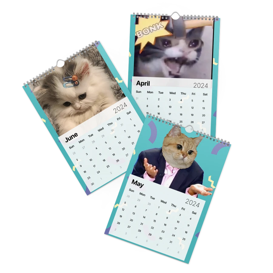 Wall Calendar (2024): Meme Cats product image (3)