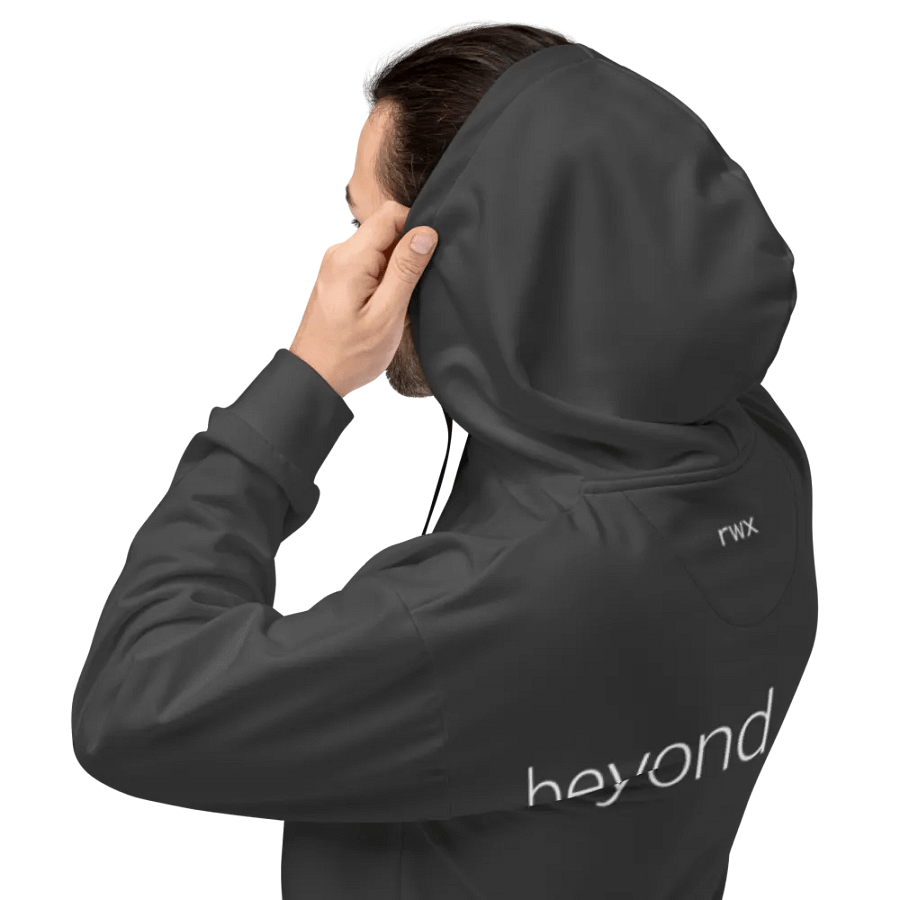 1338, beyond leet hoodie (darker grayscale mode) product image (3)