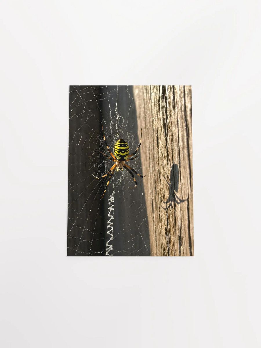 Golden Web: Yellow Garden Sentinel Poster product image (4)