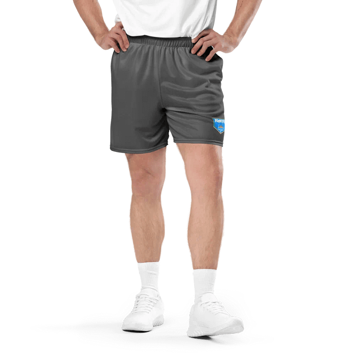 Main Logo Mesh Shorts (Grey) product image (1)
