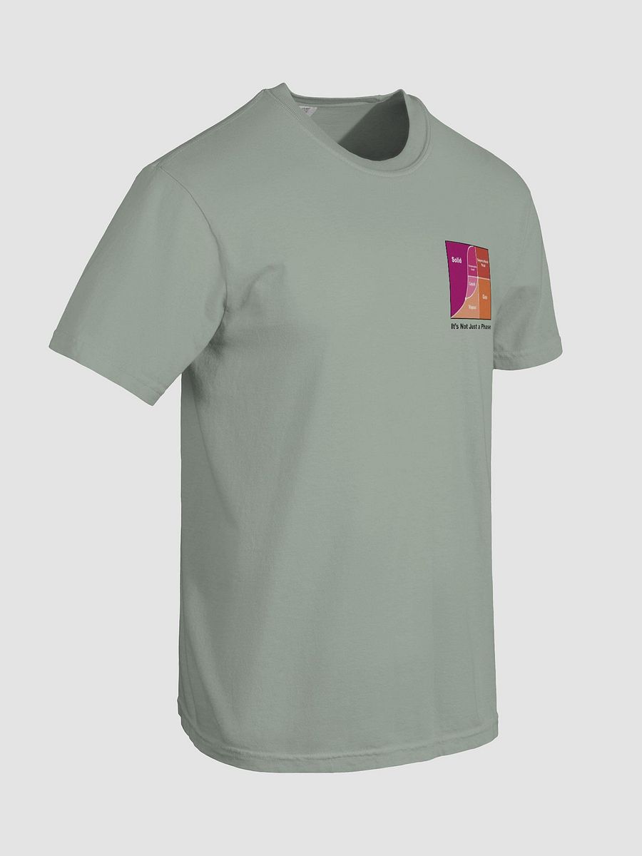 It's Not Just a Phase- Lesbian T Shirt product image (66)