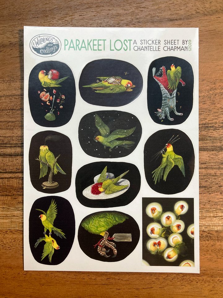 'Parakeet Lost' Sticker Sheet product image (2)