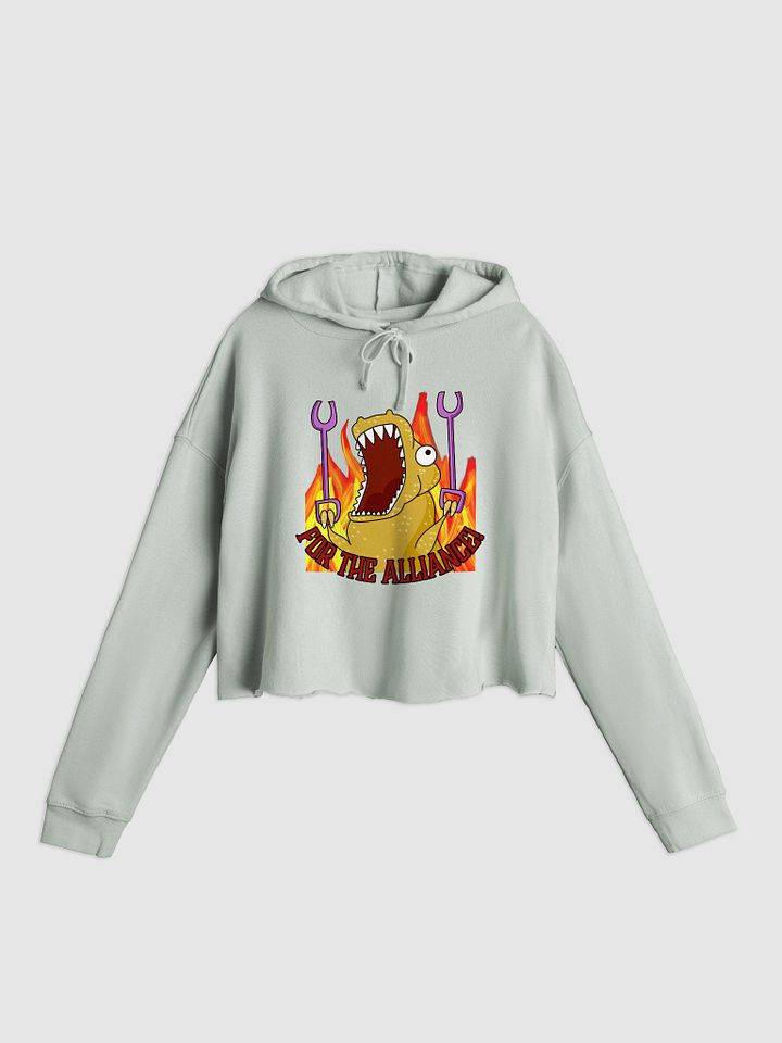 Alliance Crop Hoodie product image (1)