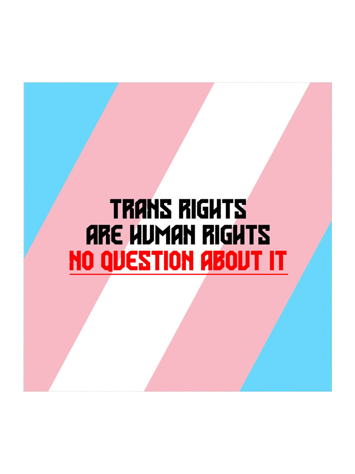 Trans Rights Kiss Cut Sticker product image (1)