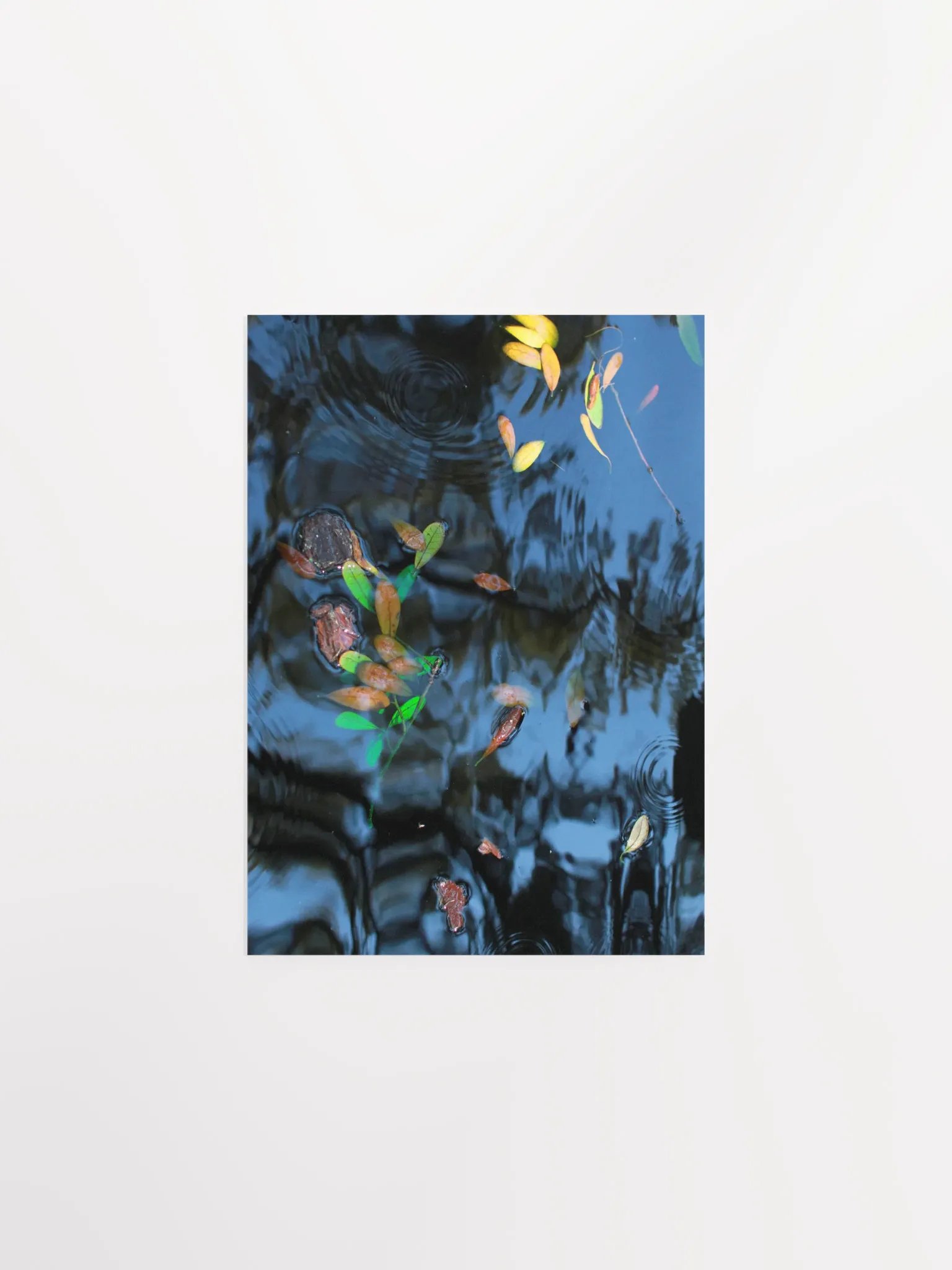 Musical Theatre product image (1)