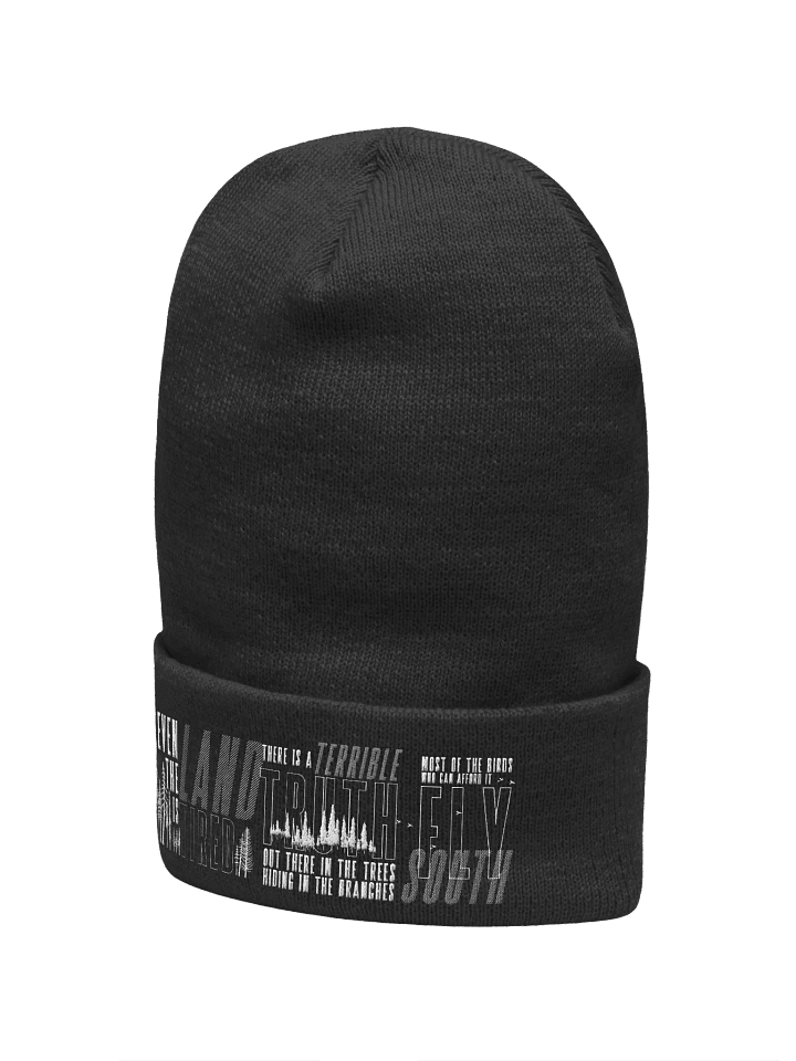 That's February For You Embroidered Beanie product image (2)