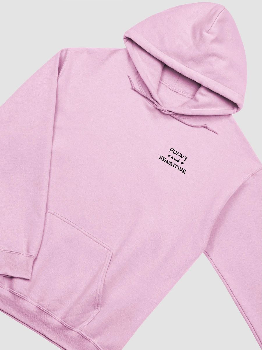 FUNNY *and* SENSITIVE (sm. design) classic hoodie product image (37)