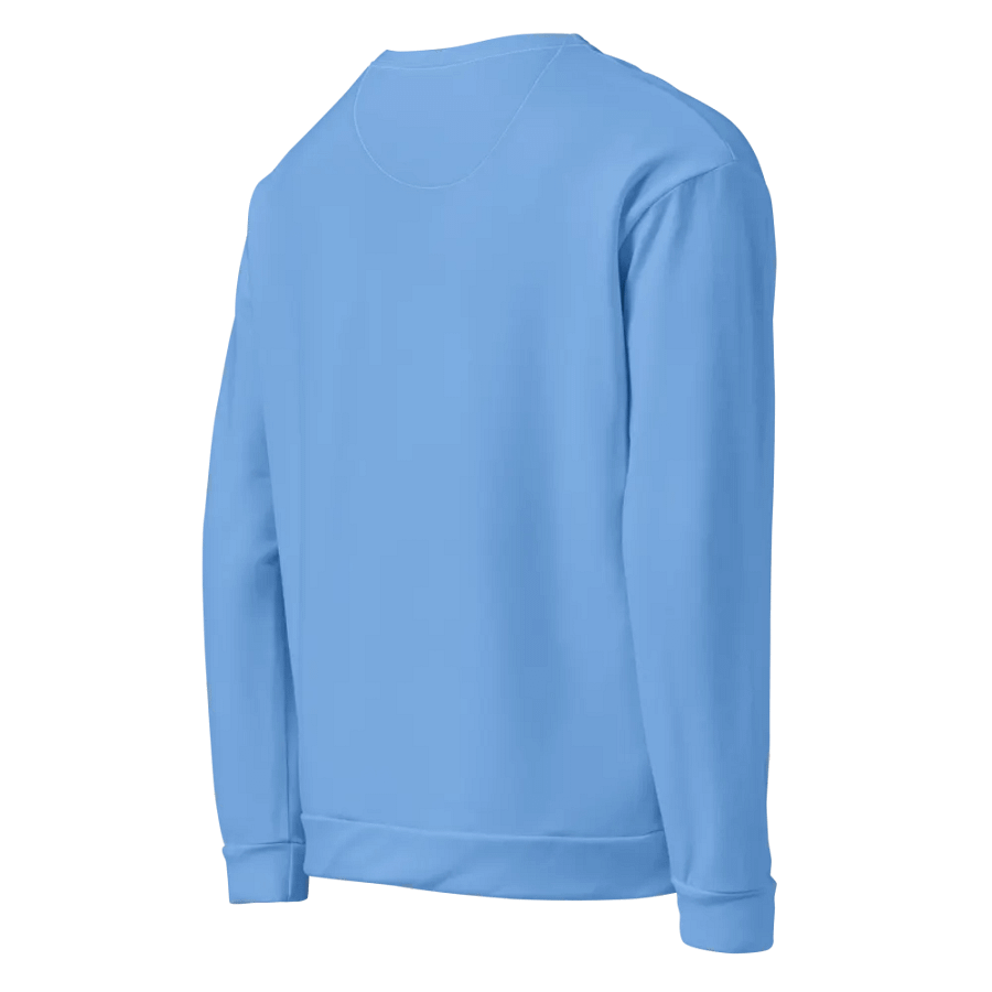 Plain Light Blue True Summer Unisex Recycled Polyester Heavyweight Premium Sweatshirt by Treasure Pie product image (6)