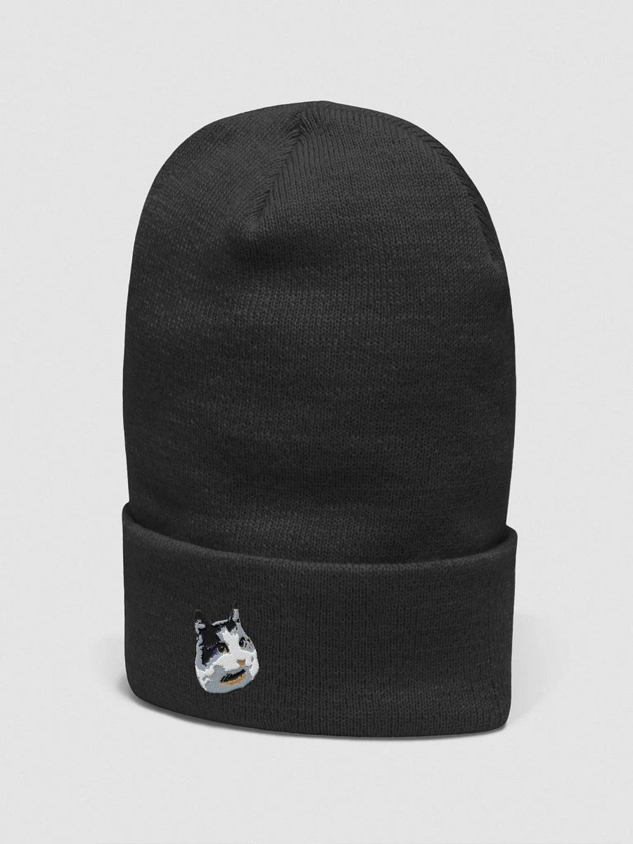Pixel Purr Bean-ie product image (2)