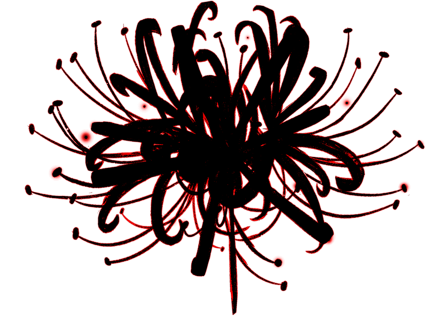 SPIDER LILY product image (5)