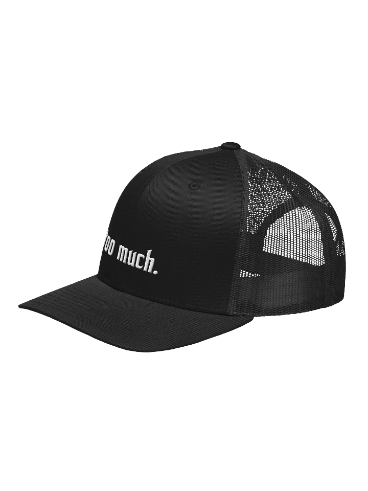 too much. black trucker hat product image (2)