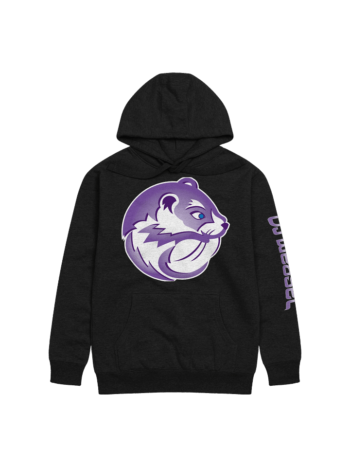 DJ Weasel 2025 Edition Hoodie product image (1)