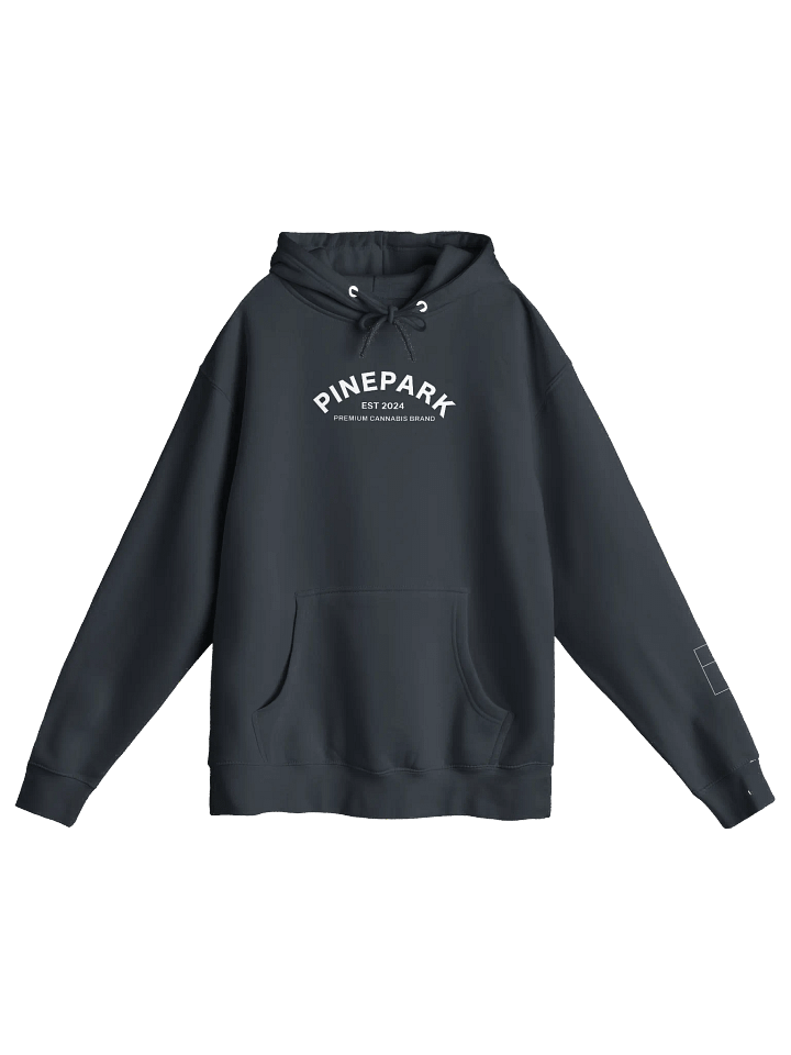 Pine Park Cat Mascot Hoodie product image (2)