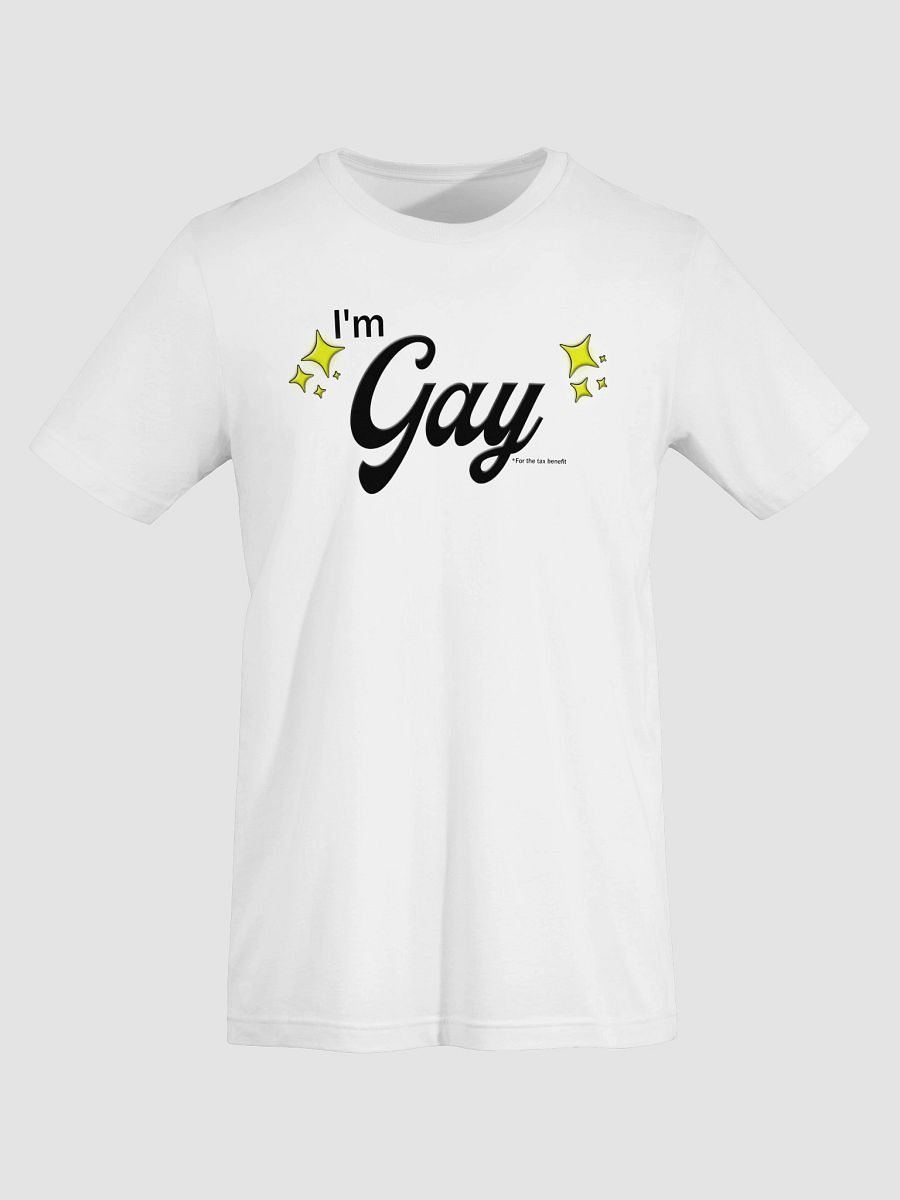 I'm Gay (for the tax benefit) Charity Tee product image (7)