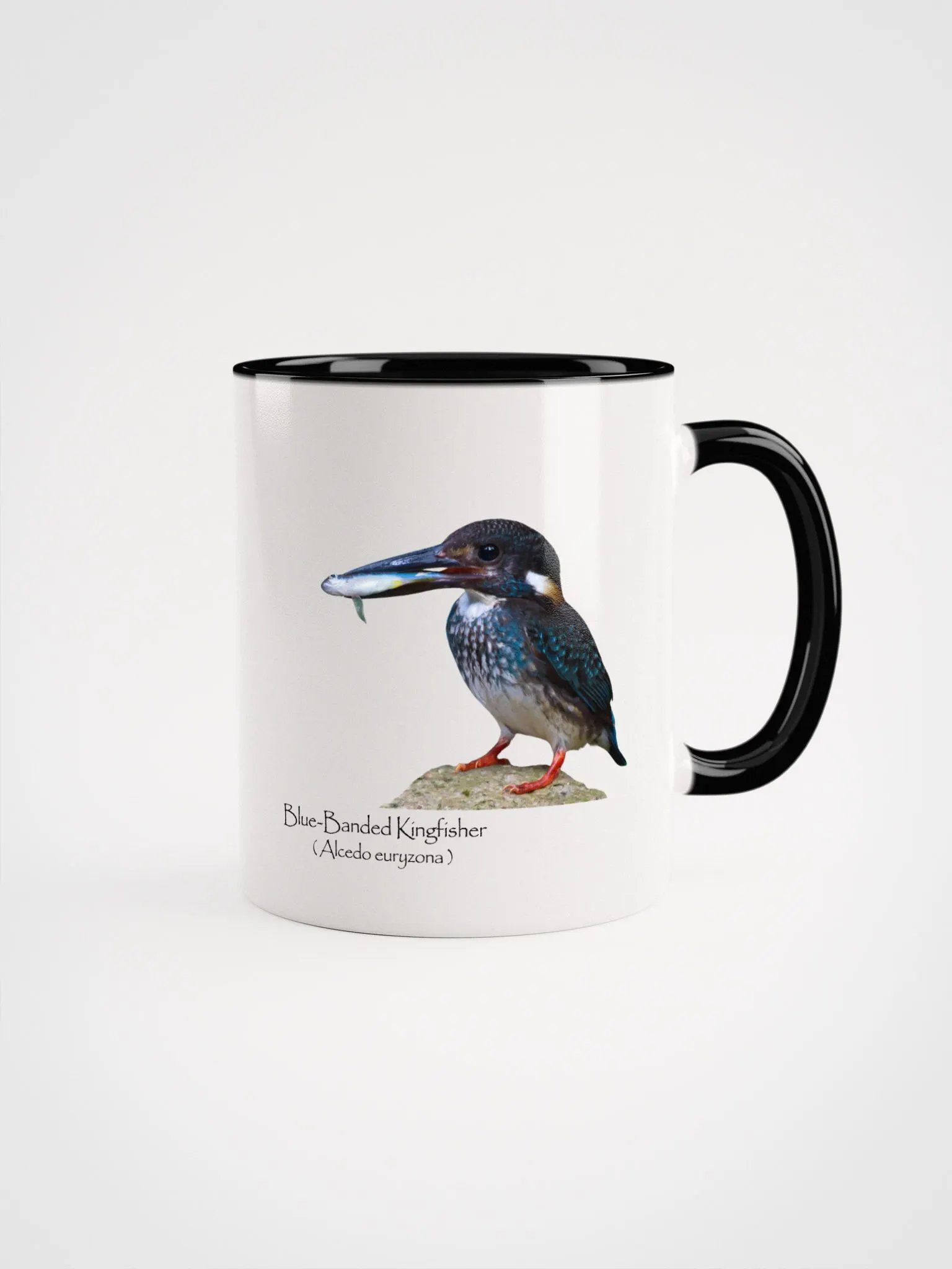 Blue-Banded Kingfisher mug product image (6)