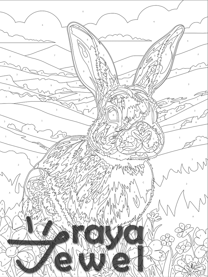 Rabbit! Color by Number Coloring Page product image (2)