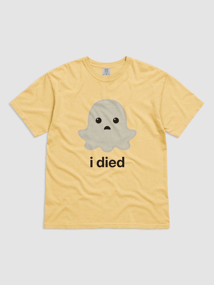 Sad Ghost Heavyweight Tee - Light Color product image (14)