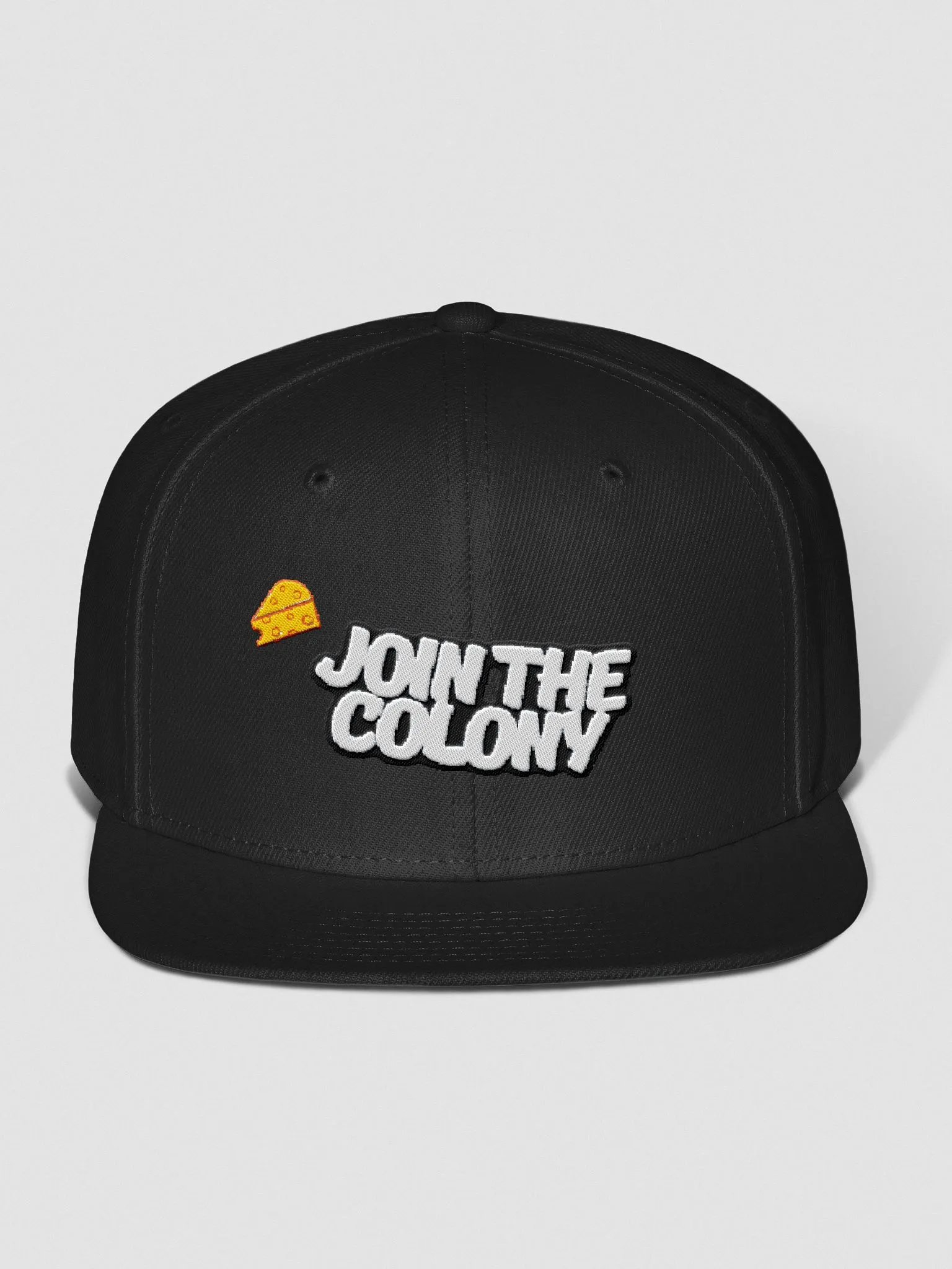 Join The Colony Snapback product image (8)