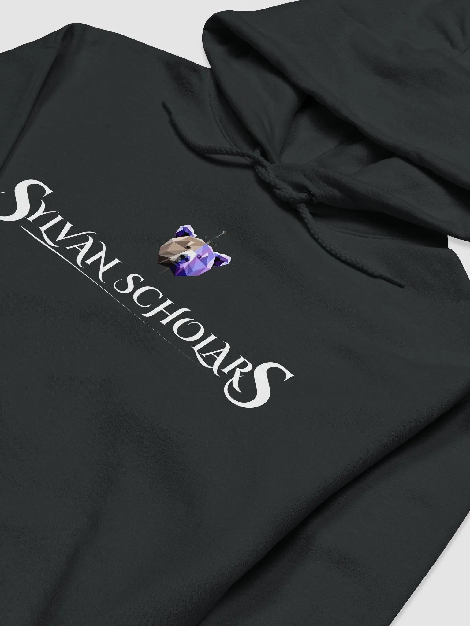 SylvanScholar Hoodie Regular product image (3)