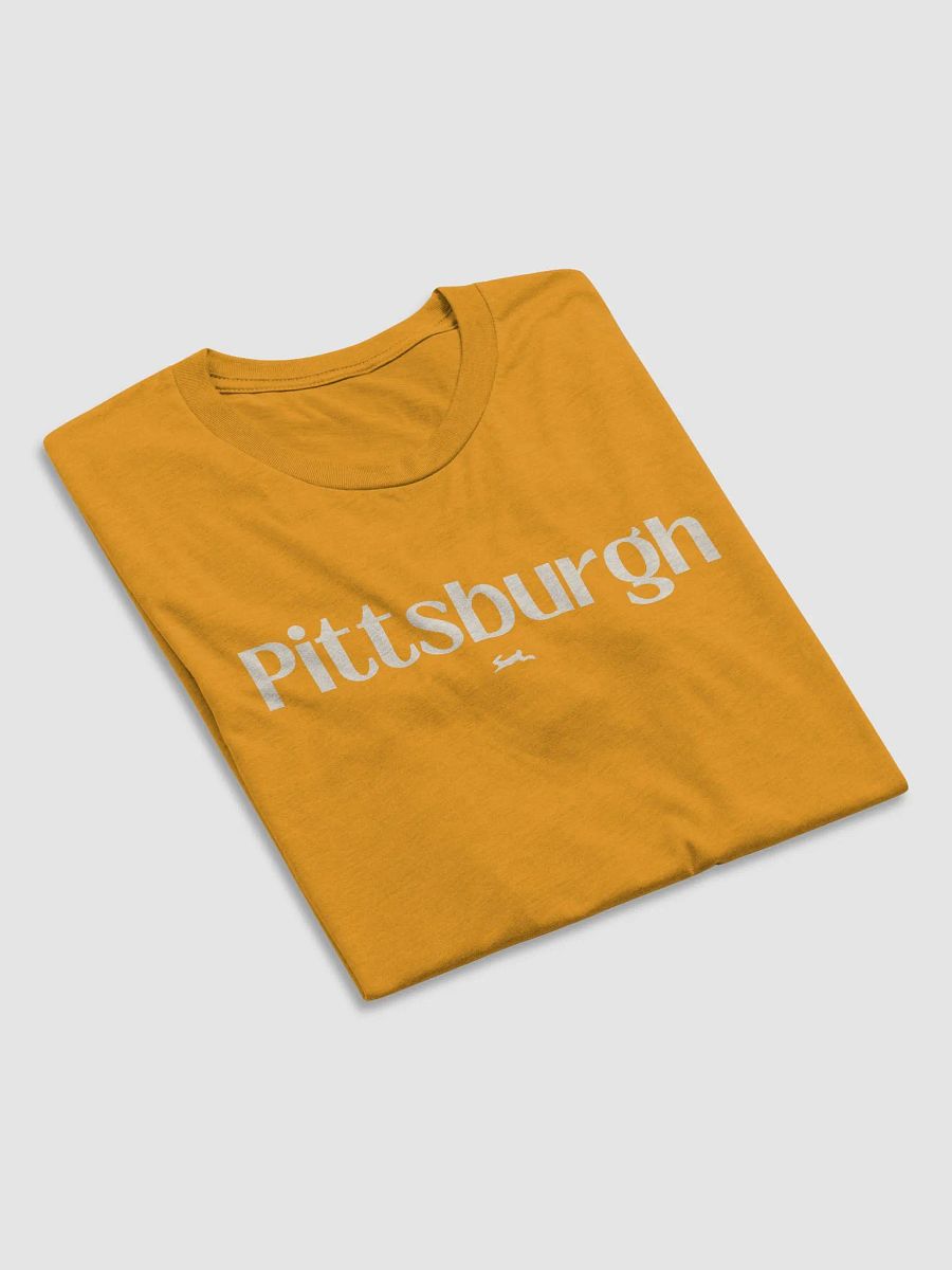 chfpar City / Pittsburgh Celebration Tee product image (5)