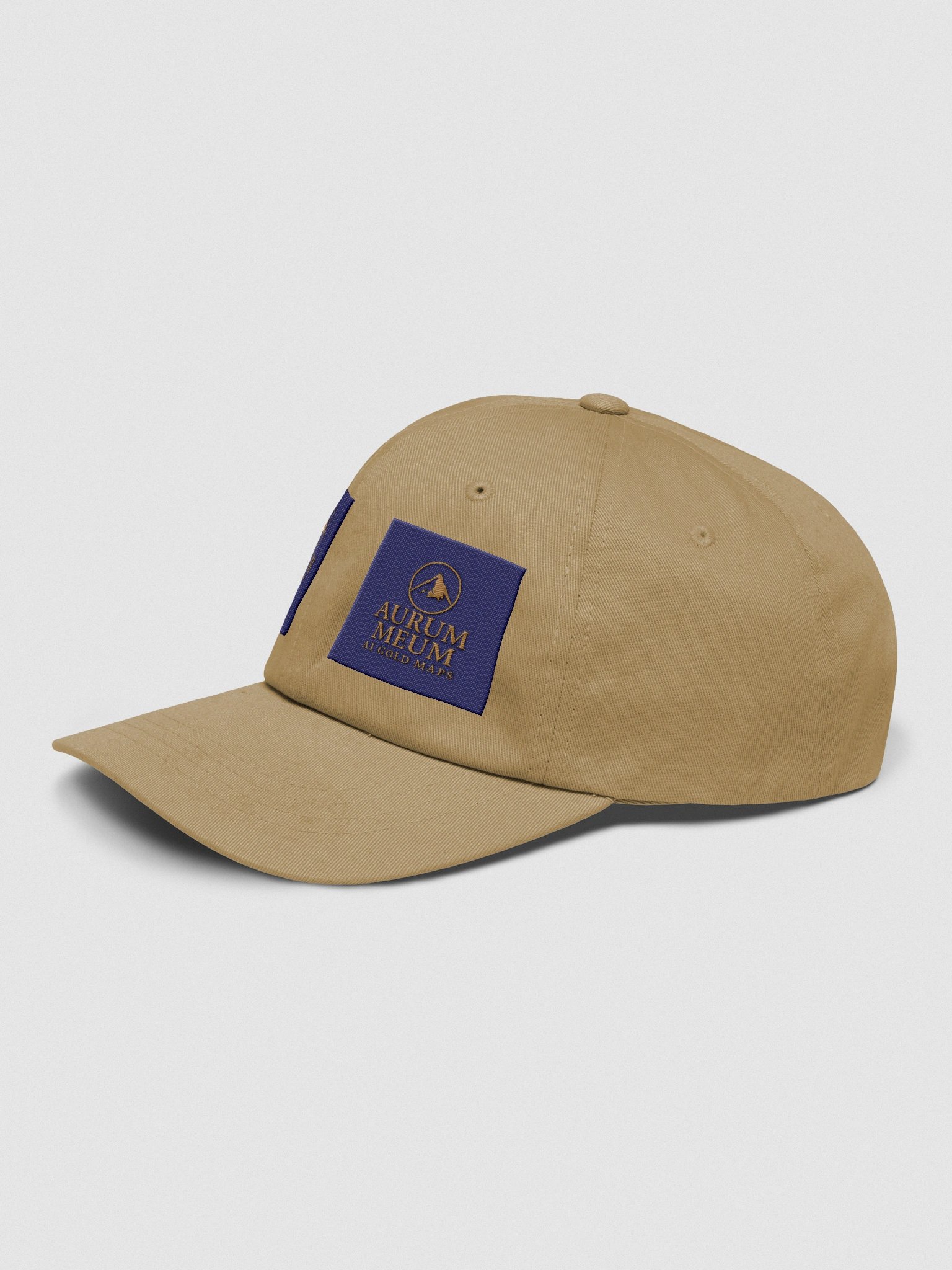 Aurum Meum AI Academy & AI Gold Maps Dad's CAP product image (3)