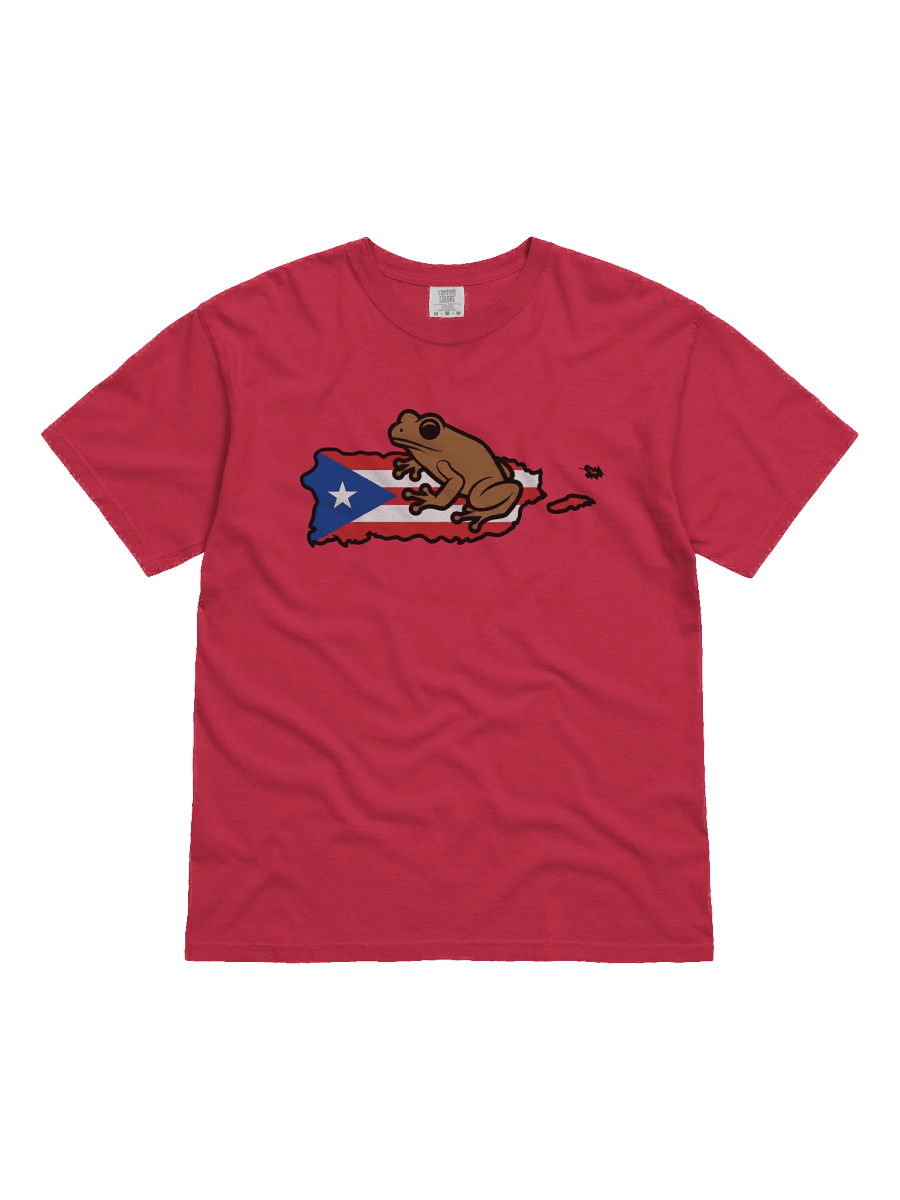 Puerto Rican Flag & Coqui T-Shirt product image (14)