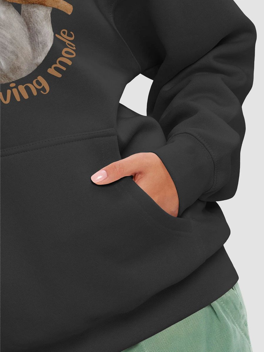 Energy Saving Sloth Premium Hoodie product image (64)